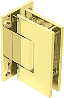 Brass Geneva 337 Series Adjustable Wall Mount Full Back Plate Hinge