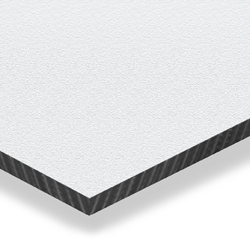 CleanCote BioWall